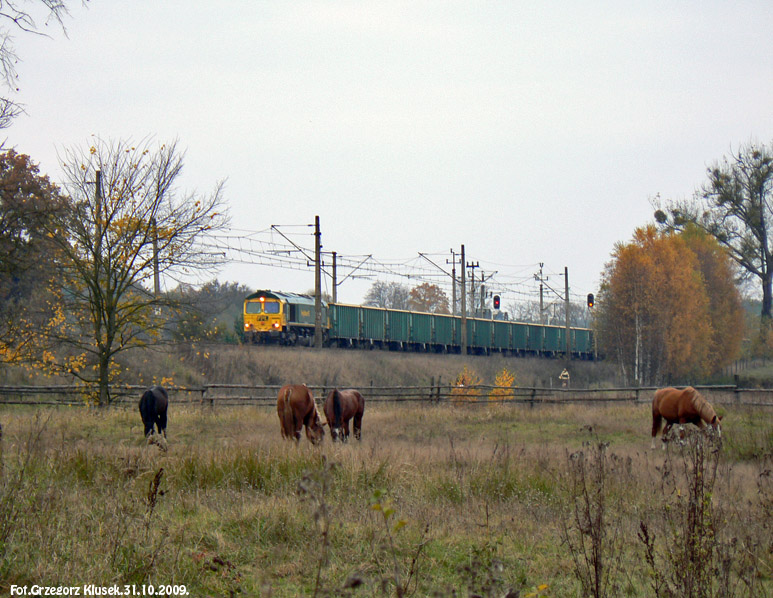 66006 i konie....