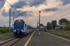 ED160-016 Koziołek