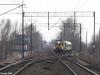 SU42-513 Elbląg Tropy